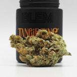 TANGIE TING-PRE-PACK-(3.5G)-S